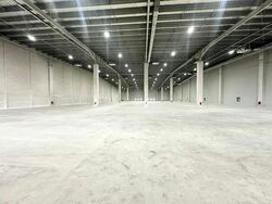 Gul Drive (D22), Factory #546417251